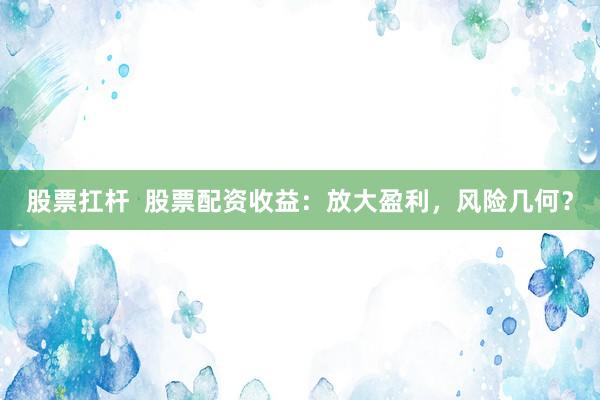 股票扛杆  股票配资收益：放大盈利，风险几何？